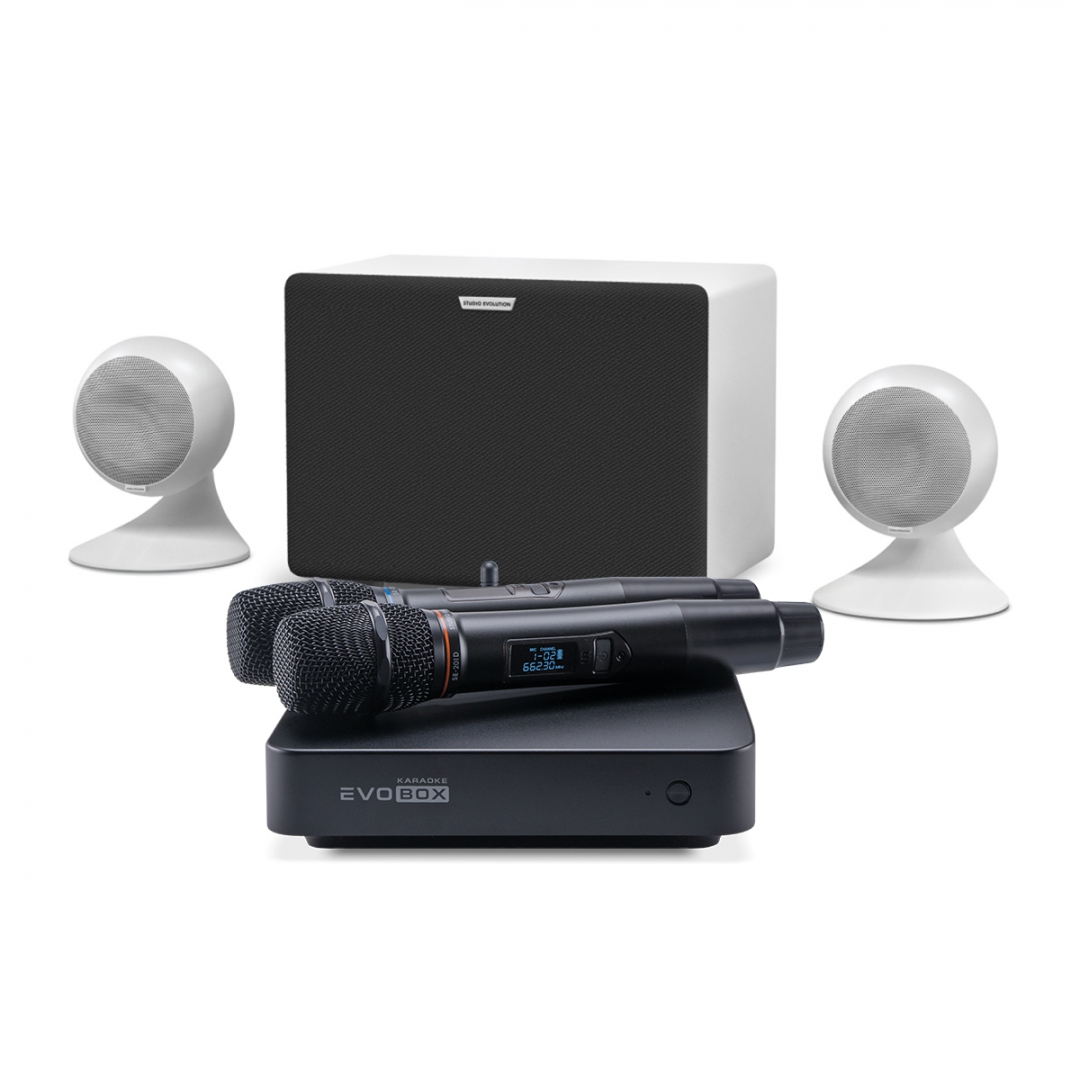 караоке-комплект EVOBOX Classic + EvoSound Sphere 2.1 в Магадане
