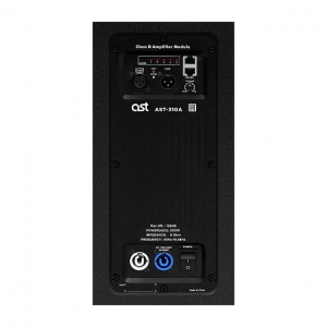 Активная акустическая система AST-310A в Магадане