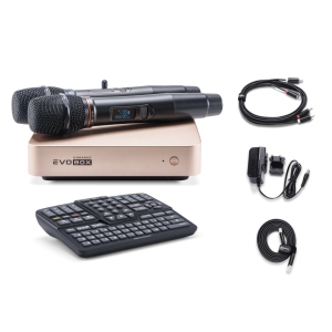 EVOBOX Classic караоке-система для дома в Магадане